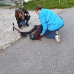 WhatsApp Image 2019-05-16 at 22.07.31