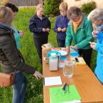 WhatsApp Image 2019-05-16 at 22.07.34(1)