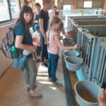 WhatsApp Image 2023-01-17 at 19.43.39